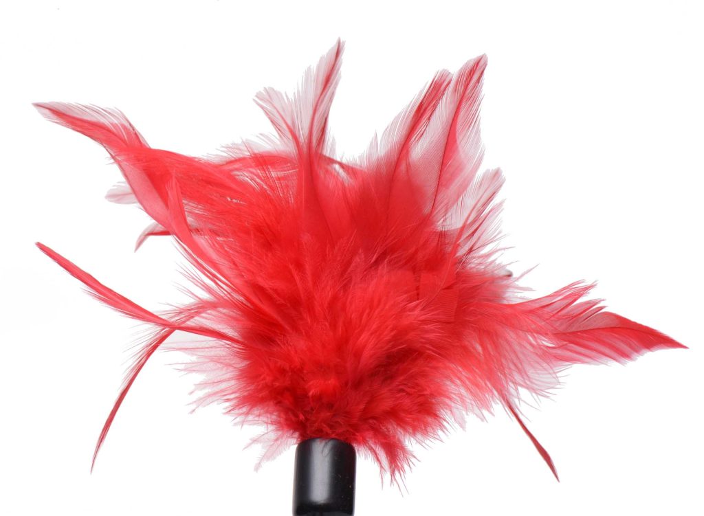Le Plume Feather Tickler - Red