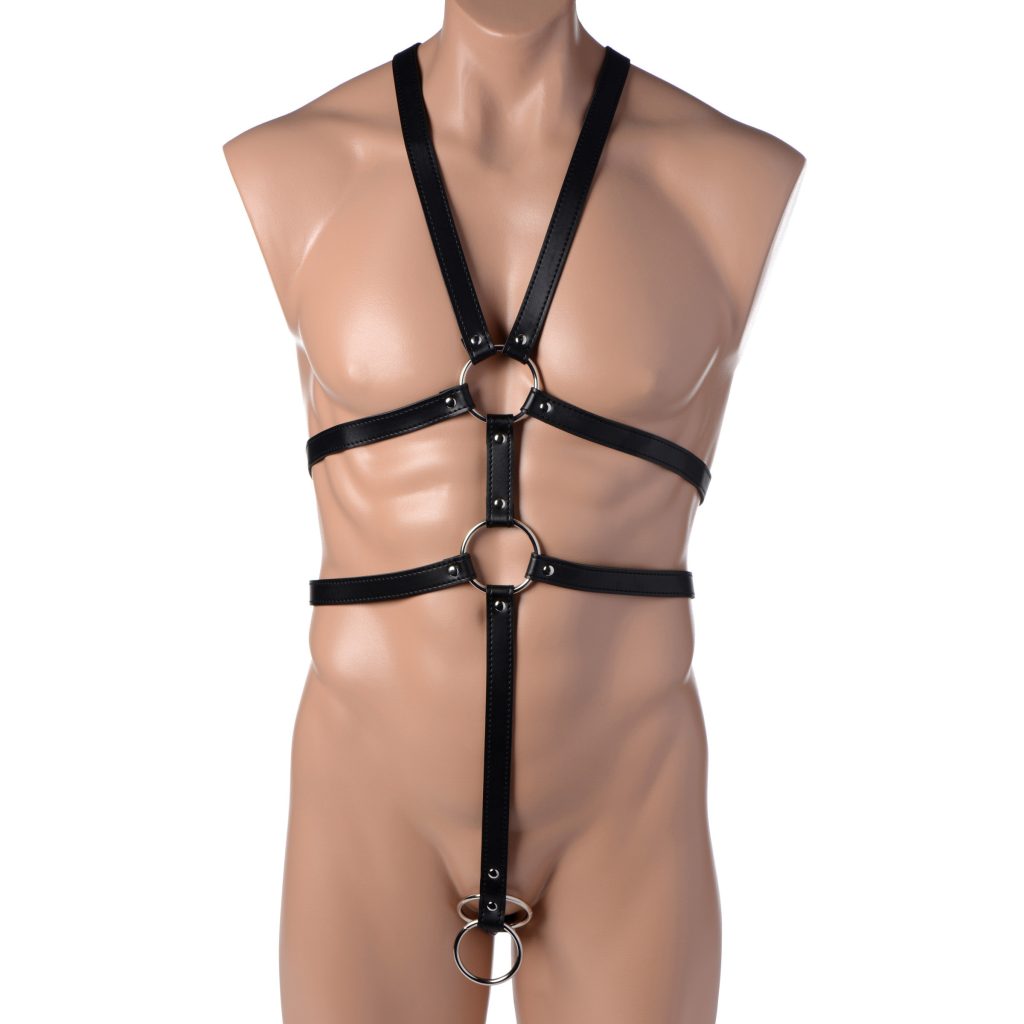 Male Full Body Harness