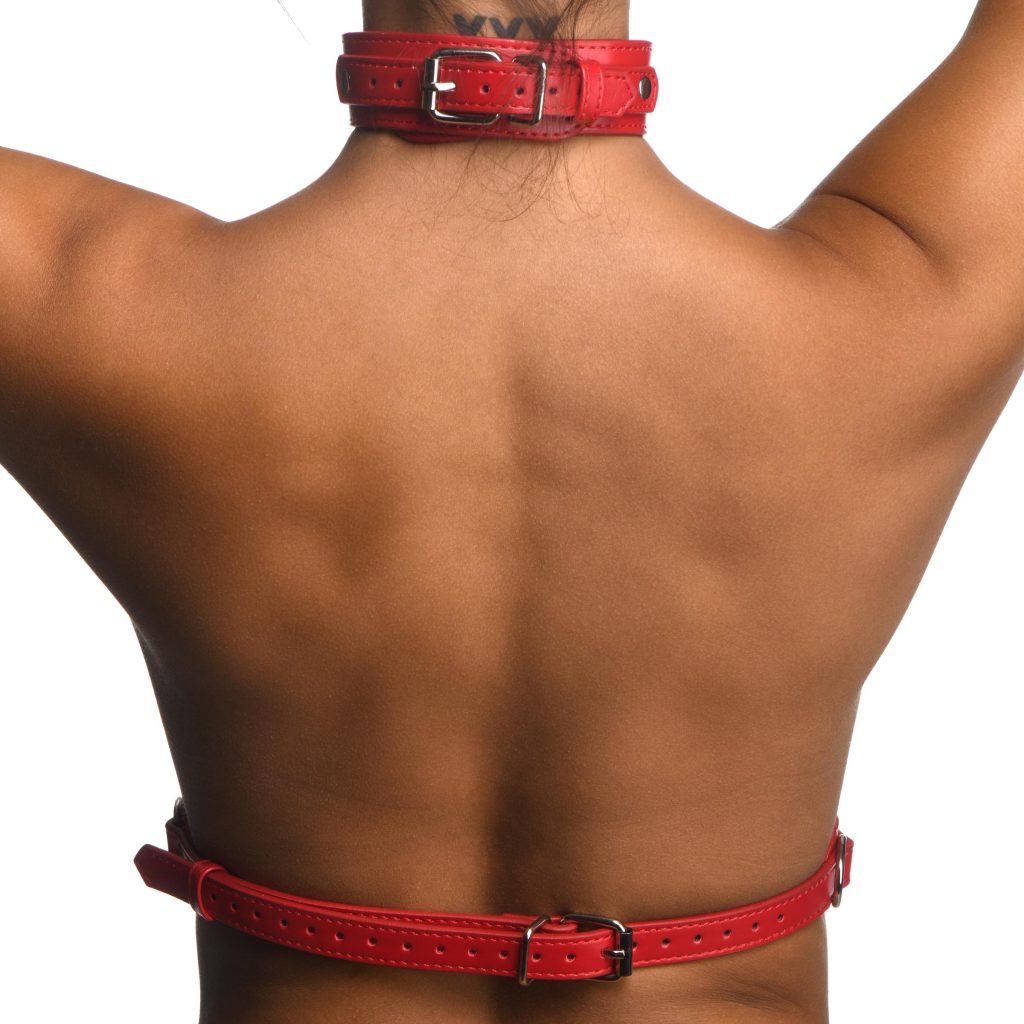 Red Female Chest Harness- Medium/large