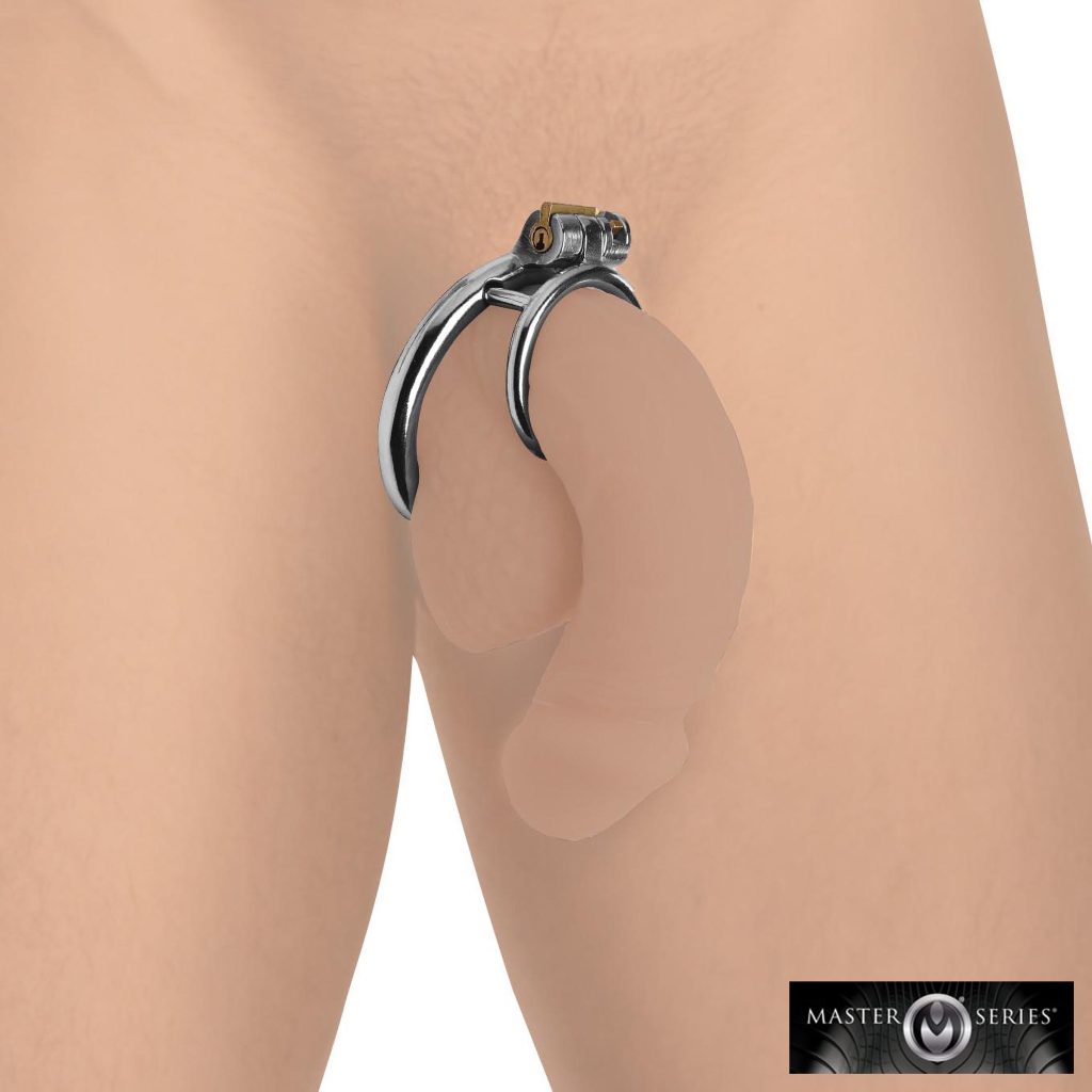 Locking Cock And Ball Ring