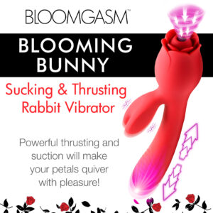 rabbit vibrator