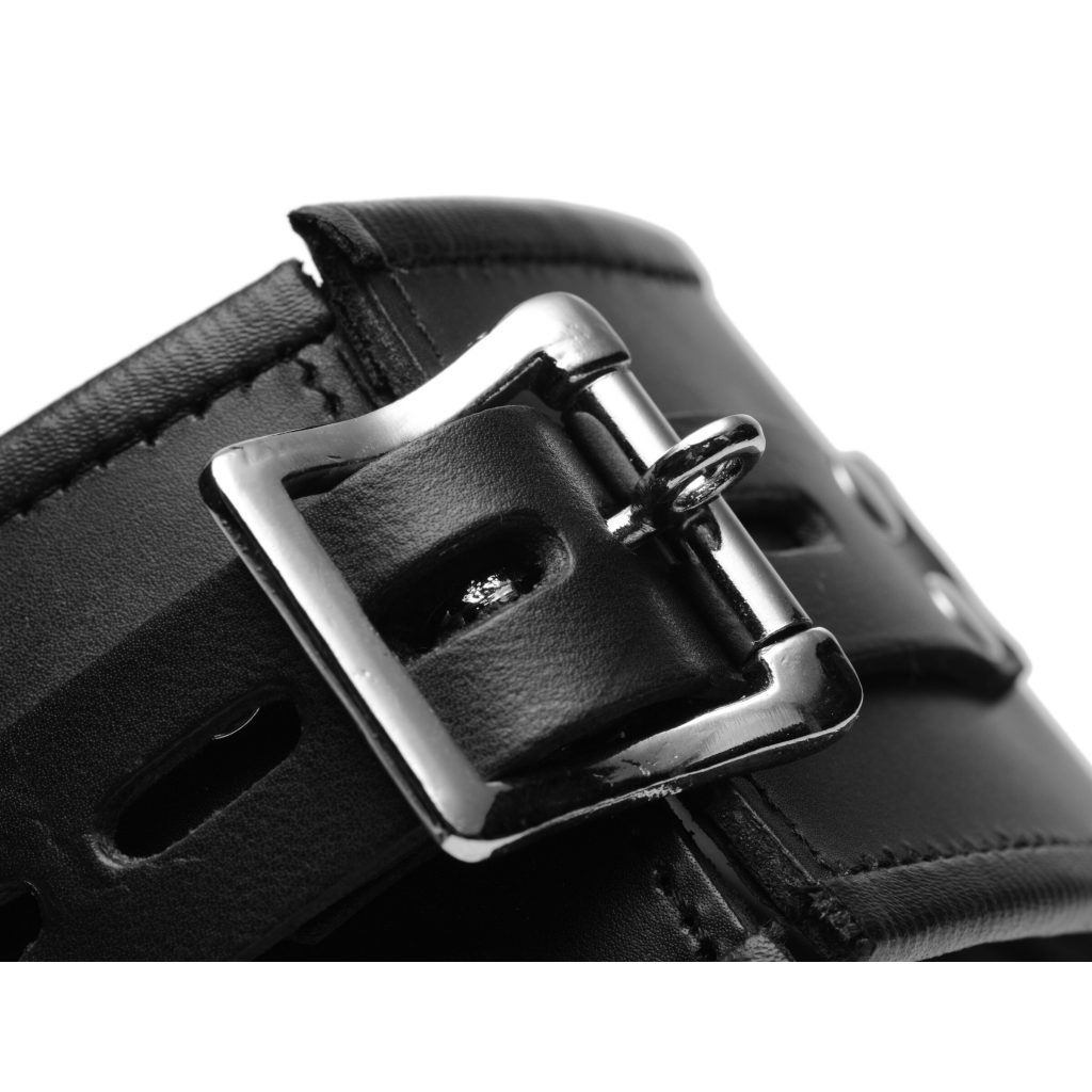 Padded Leather Locking Posture Collar